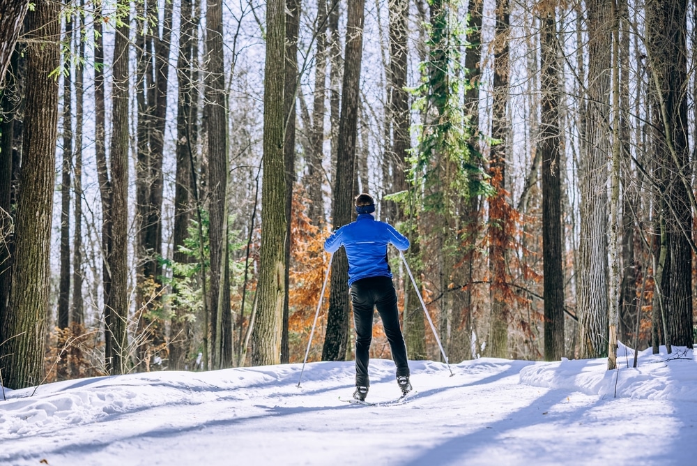 A backview of a person skiing around the trees