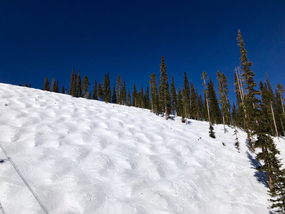 A view of a ski slope with moguls