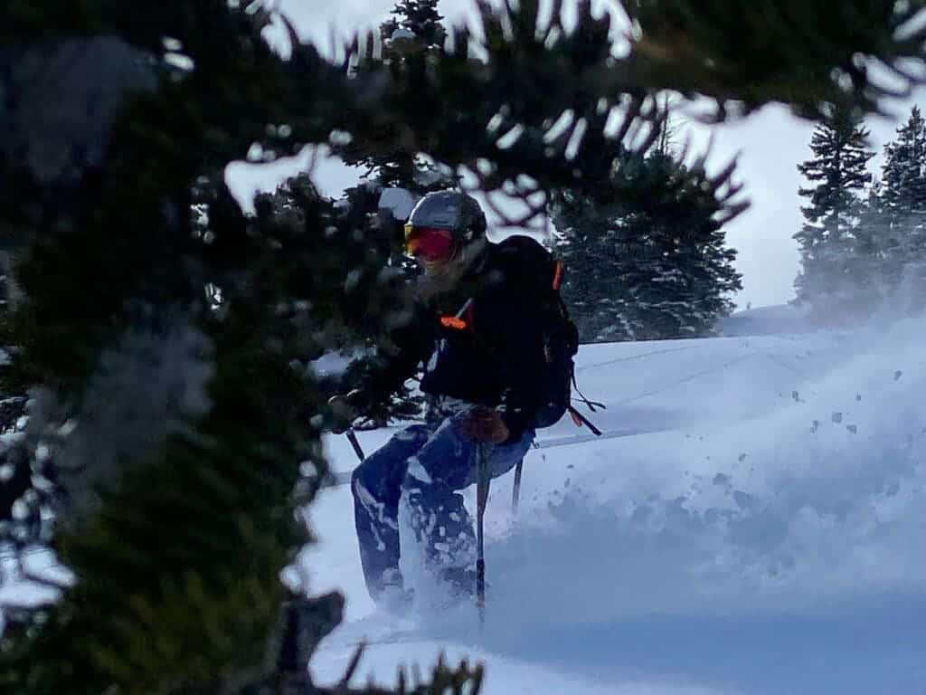 Tree Well Skiing Guide: Safety and Skill Strategies