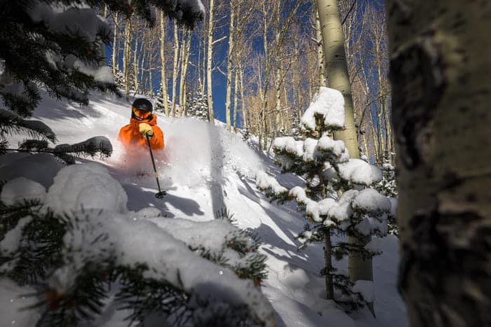 Tree Well Skiing Guide: Safety and Skill Strategies