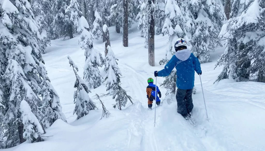 Tree Well Skiing Guide: Safety and Skill Strategies