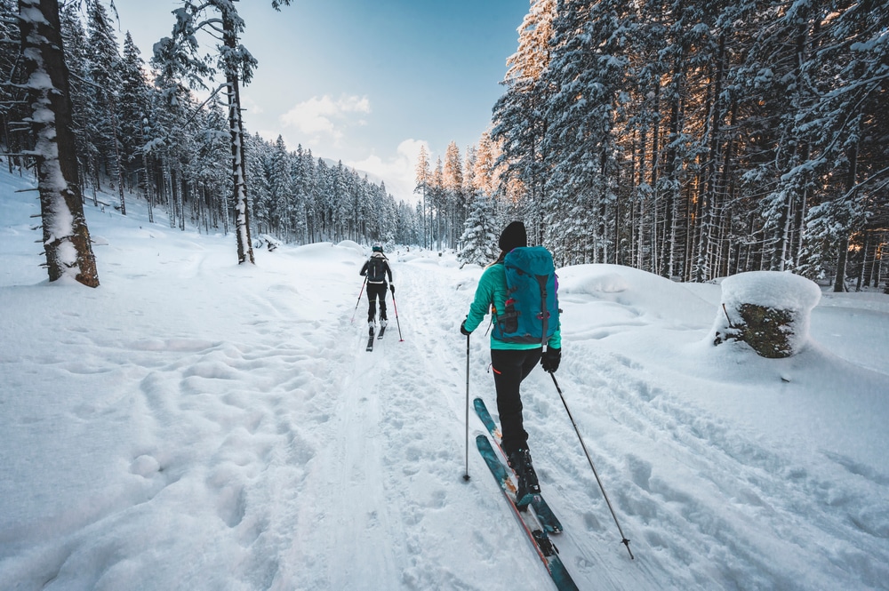 Mountaineer Backcountry Ski Walking Ski Alpinist In The Mountains Ski