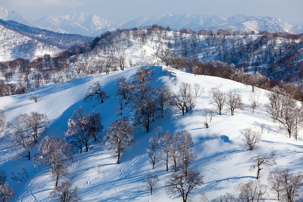 Nozawa Onsen Ski Resort Iii