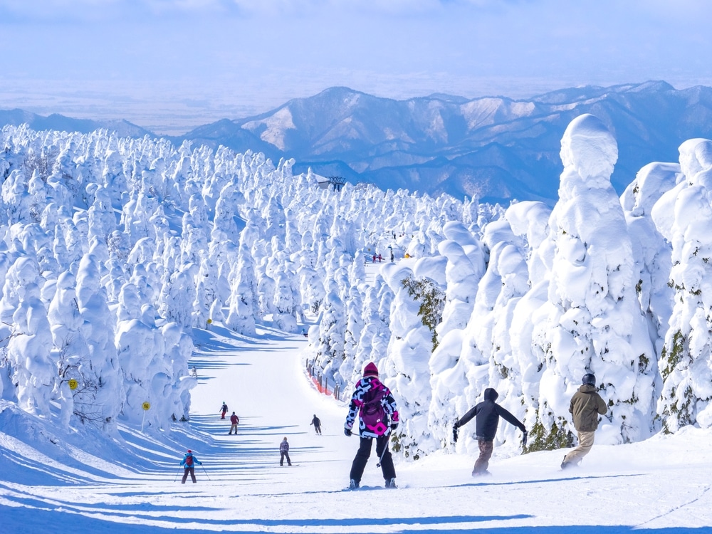 People Racing Down In A Slope Through The Snow Monsters