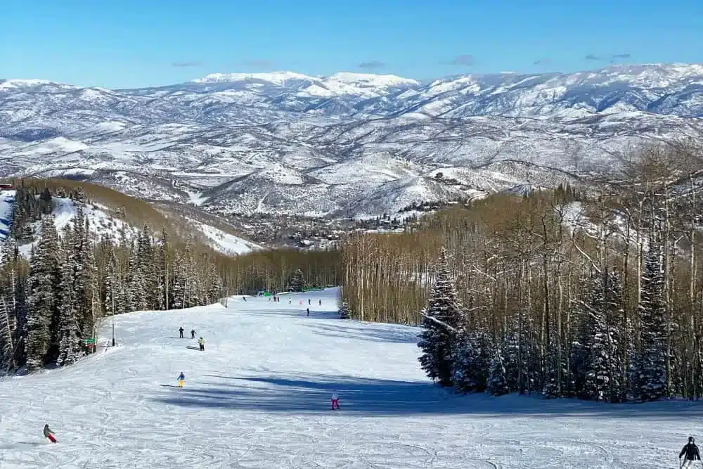 A wide view of a ski slope in Utah with skiers and snowboarders descending amidst snow covered trees and mountains A wide view of a ski slope in Utah with skiers and snowboarders descending amidst snow covered trees and mountains