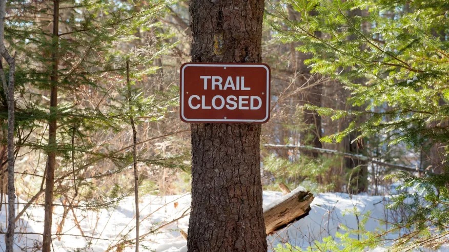 A 'Trail Closed' sign posted on a tree in a forest with snow on the ground and greenery surrounding it